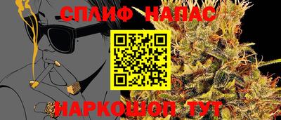 PSILOCYBIN Бийск