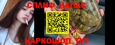 mdpv Беслан
