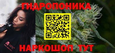 PSILOCYBIN Бийск