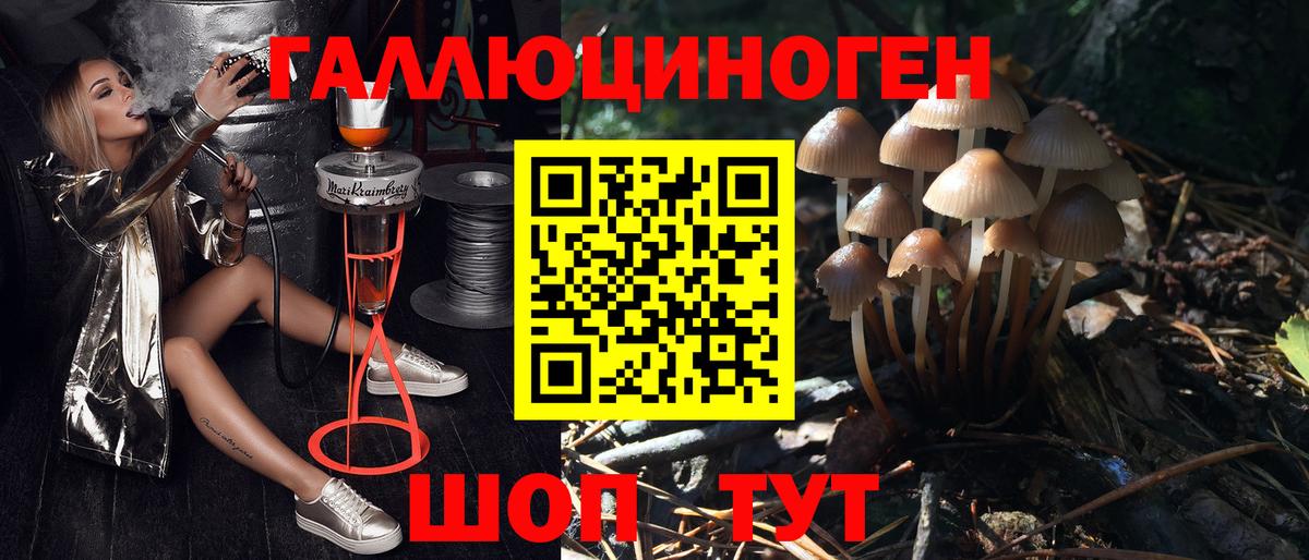 где продают наркотики  Вход с VPN  Астрахань  Галлюциногенные грибы Magic Shrooms  Псилоцибиновые грибы Cubensis 