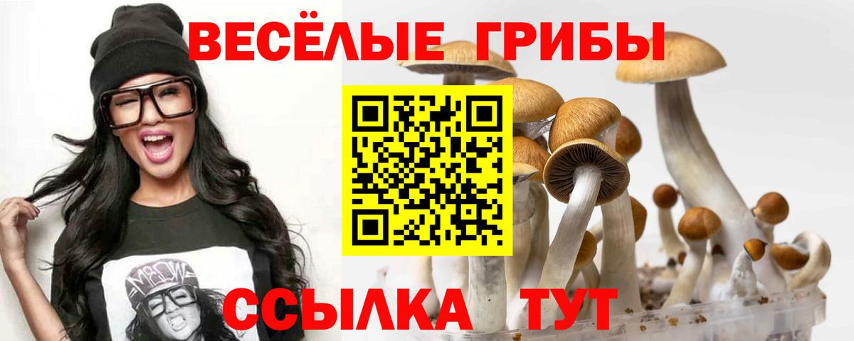 Галлюциногенные грибы прущие грибы Астрахань